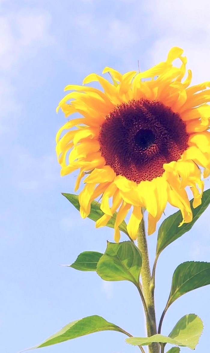 「生活万万千」启迪人生的经典短语，得意时要看淡，失意时要看开，句句走心