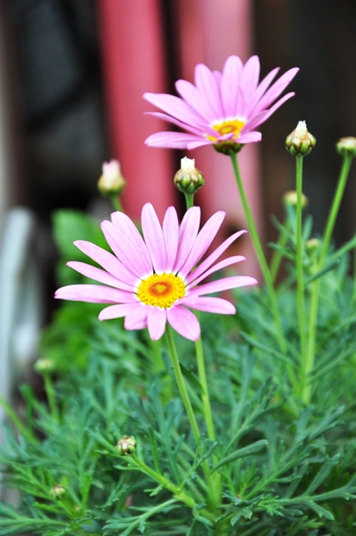 「生活万万千」启迪人生的经典短语，得意时要看淡，失意时要看开，句句走心