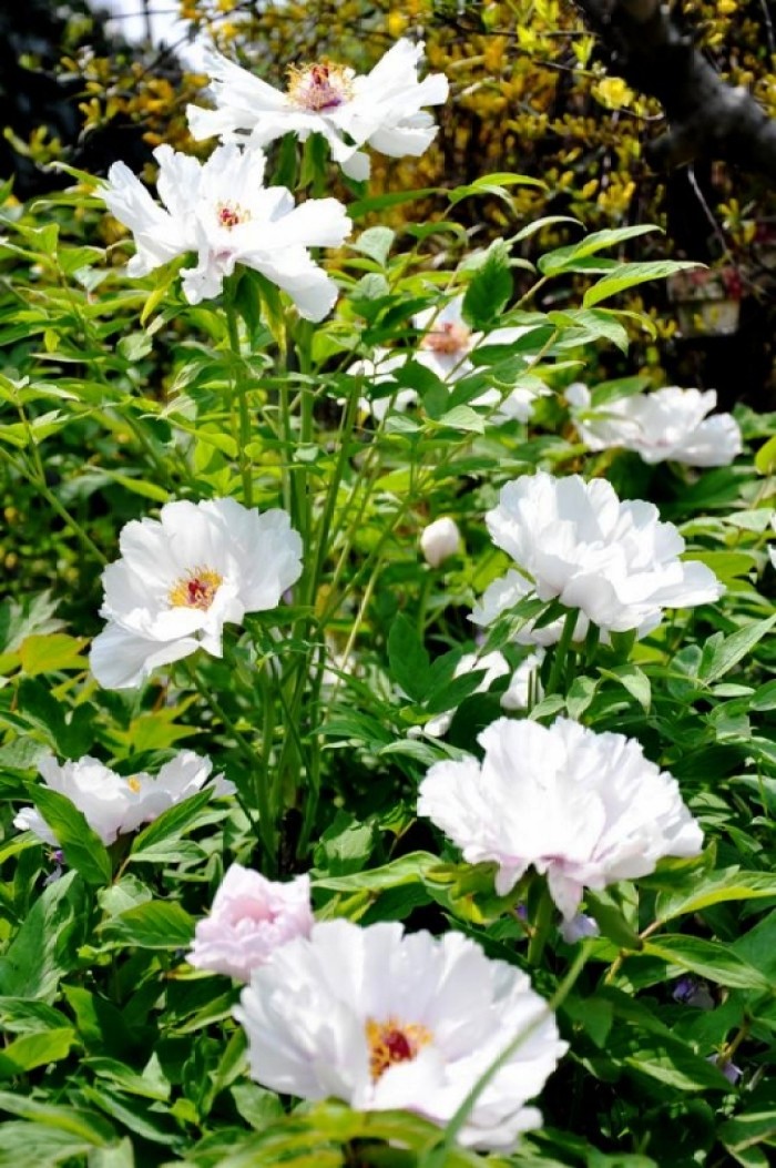 「生活万万千」启迪人生的经典短语，得意时要看淡，失意时要看开，句句走心