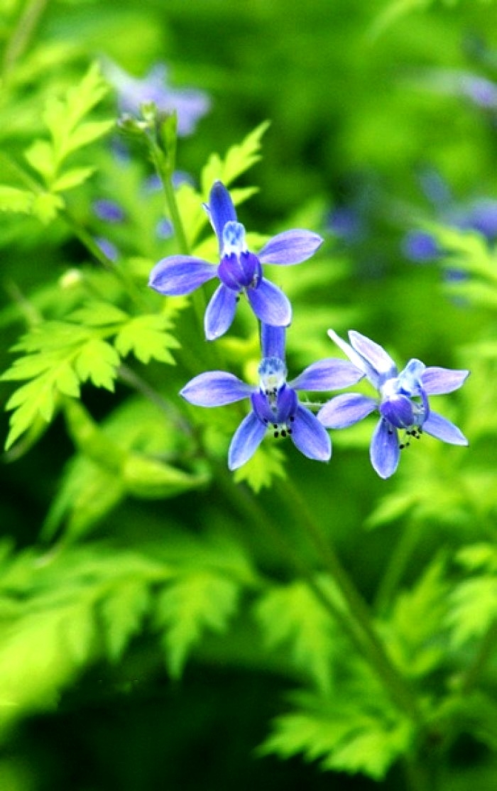 「生活万万千」启迪人生的经典短语，得意时要看淡，失意时要看开，句句走心