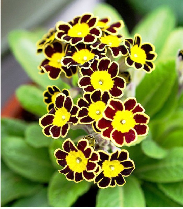 「生活万万千」启迪人生的经典短语，得意时要看淡，失意时要看开，句句走心