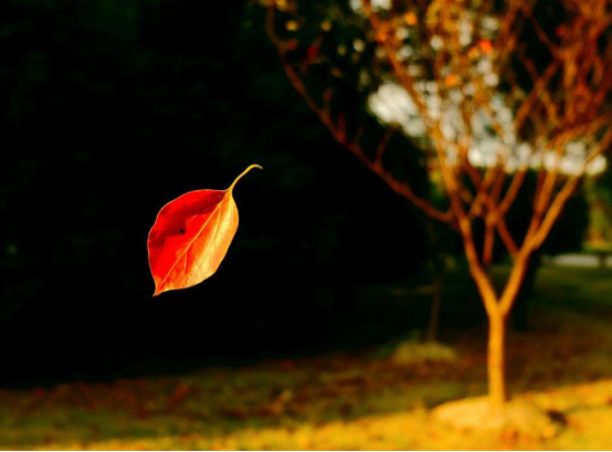 苳冬@佛说：人生，无非四个字（精辟）