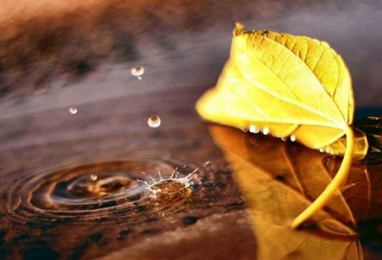 苳冬@佛说：人生，无非四个字（精辟）