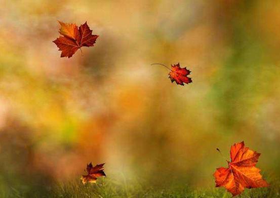 苳冬@佛说：人生，无非四个字（精辟）