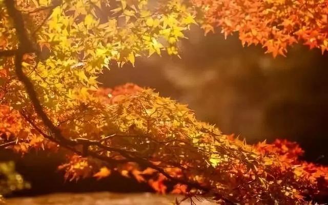 柠檬美文：十月，愿你十全十美！