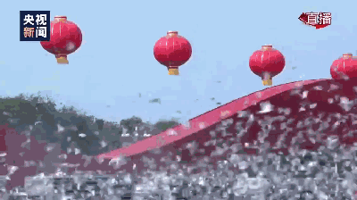 心理观察家：国庆大会的7万和平鸽 借…借的？