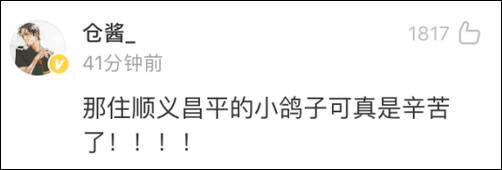 心理观察家：国庆大会的7万和平鸽 借…借的？