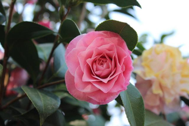 「心理观察家」宁做有度的人，勿做小人