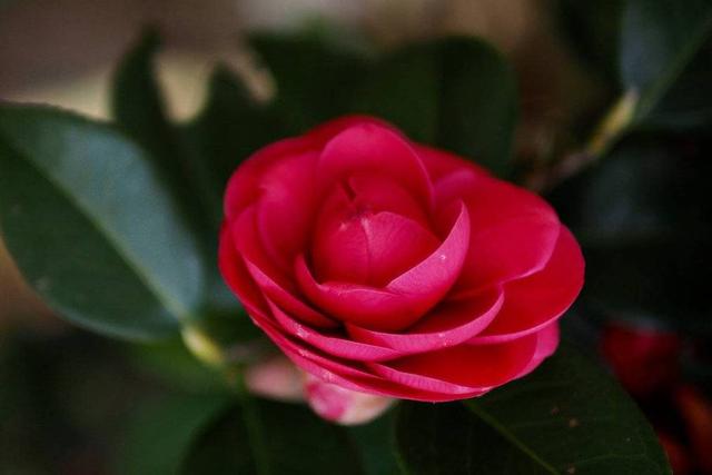 「心理观察家」宁做有度的人，勿做小人