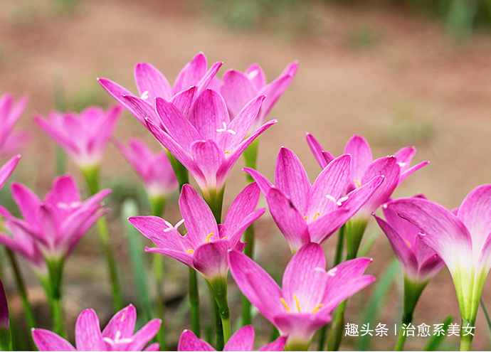 [治愈系美女]心情不好致自己的句子,句句励志,能量爆棚