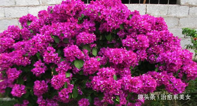 [治愈系美女]心情不好致自己的句子,句句励志,能量爆棚