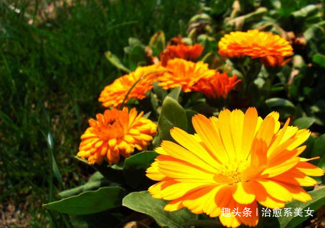 [治愈系美女]心情不好致自己的句子,句句励志,能量爆棚