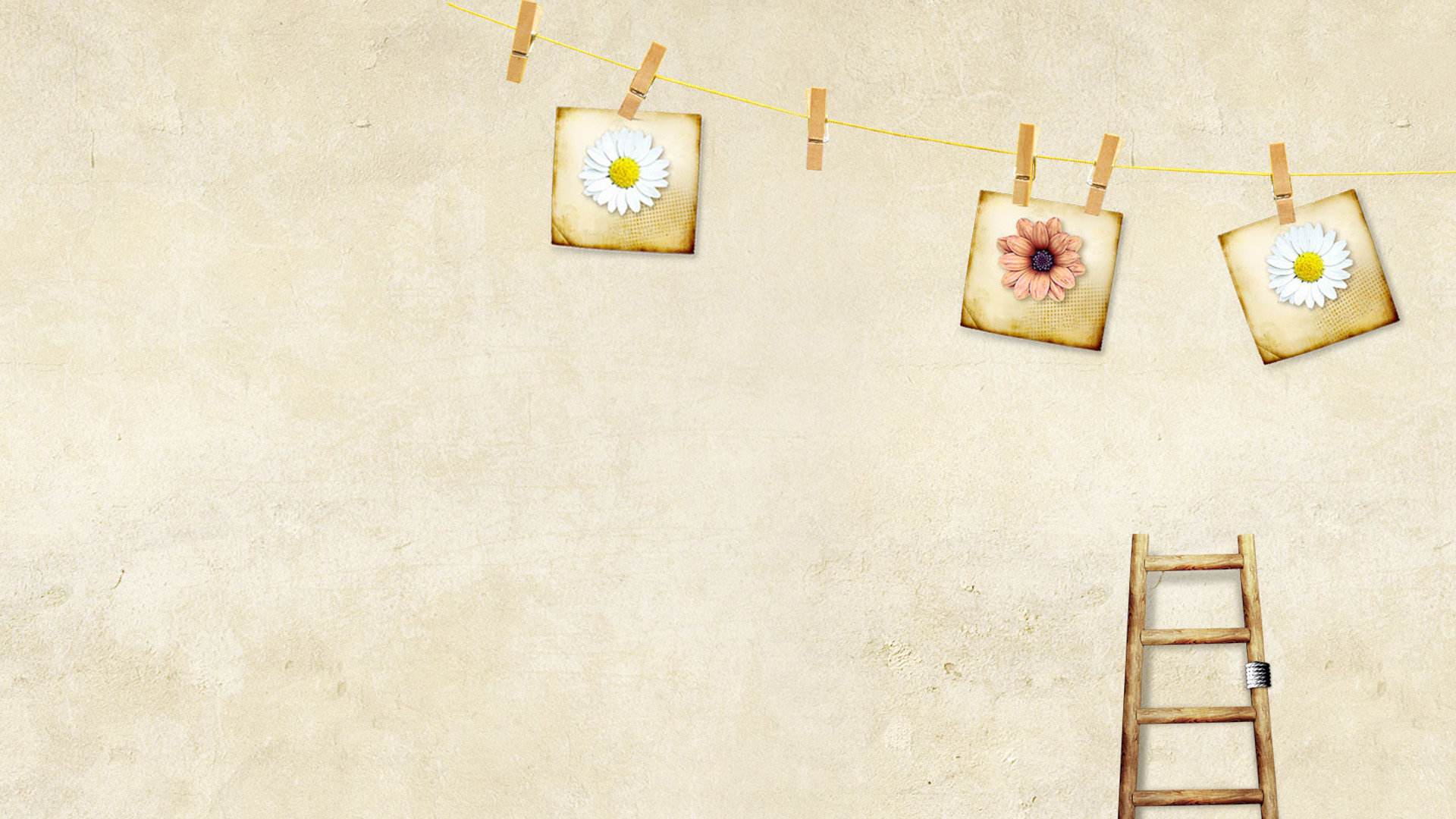 娱乐映雁■“最虐心”QQ空间语录，不曾拥有就不怕失去，句句扎心！