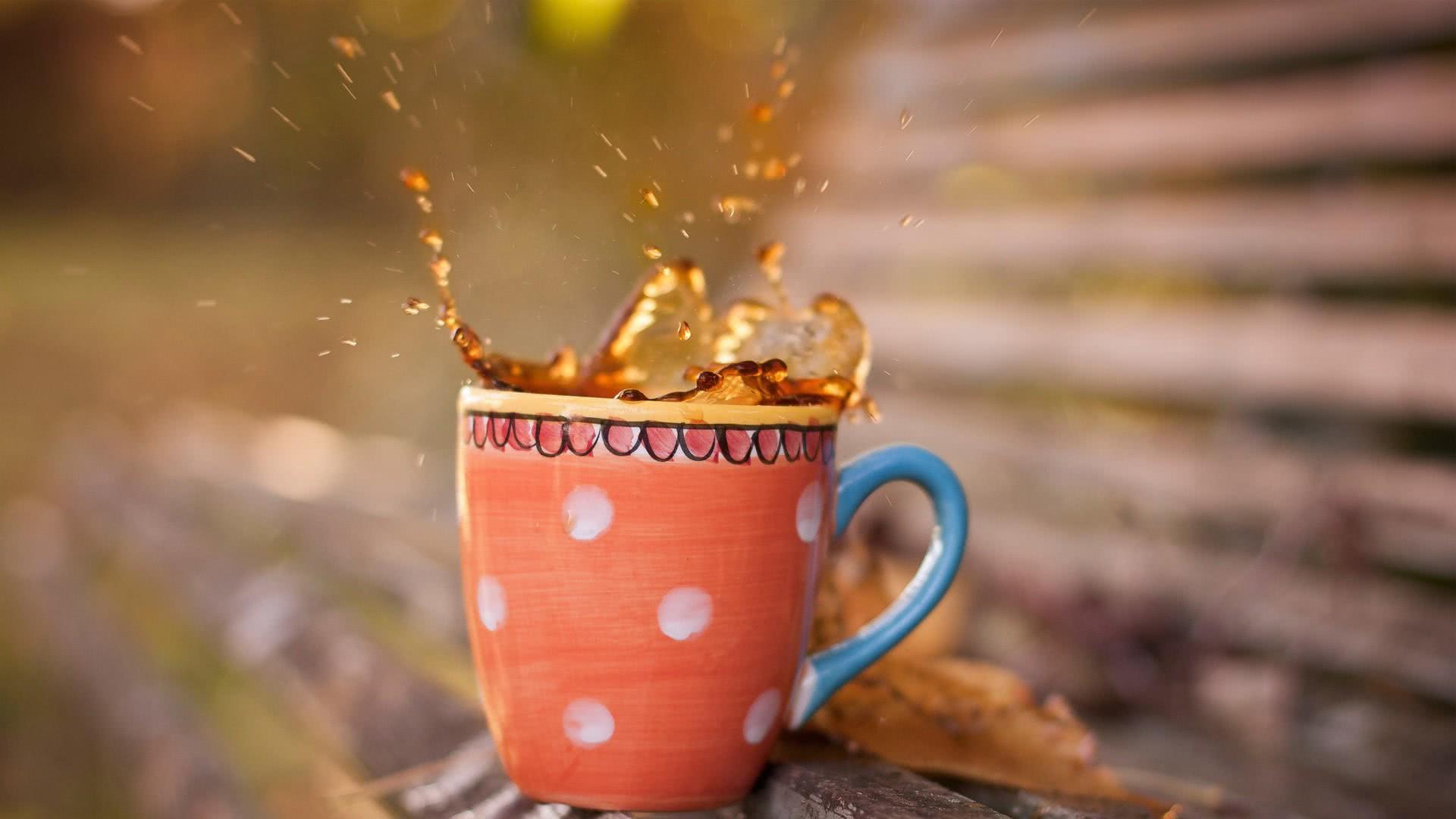 娱乐映雁■“最虐心”QQ空间语录，不曾拥有就不怕失去，句句扎心！