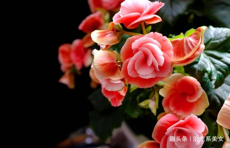 治愈系美女：阳光向上的经典句子,干净洒脱,句句简短走心