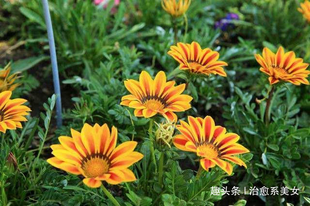 「治愈系美女」经典有深意的句子,精辟走心,发朋友圈很棒