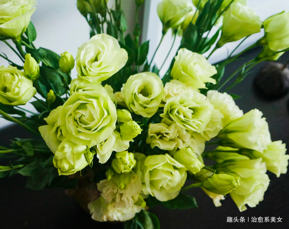 「治愈系美女」经典有深意的句子,精辟走心,发朋友圈很棒