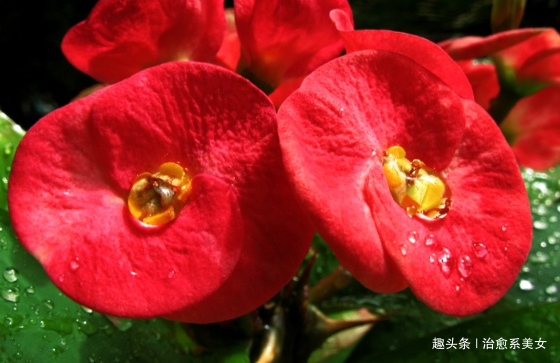 「治愈系美女」经典有深意的句子,精辟走心,发朋友圈很棒