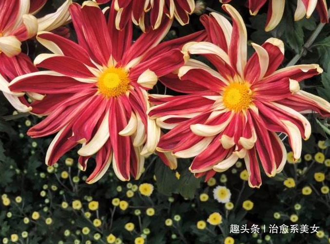 「治愈系美女」经典有深意的句子,精辟走心,发朋友圈很棒