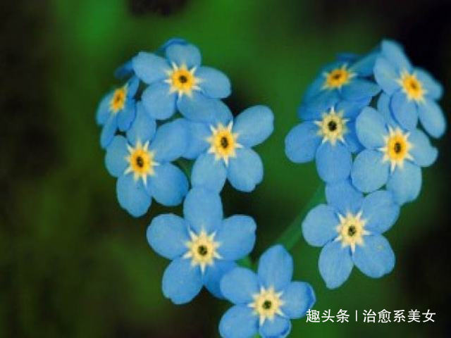 「治愈系美女」发朋友圈激励自己的句子,干净走心,人见人爱