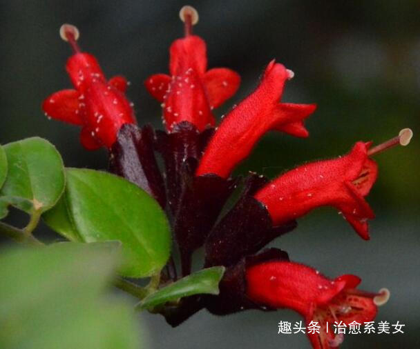 「治愈系美女」发朋友圈激励自己的句子,干净走心,人见人爱