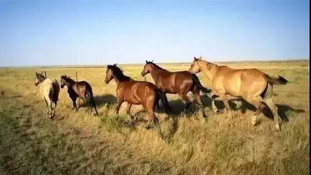 「心理观察家」心胸，是被痛苦和委屈撑大的