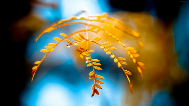 「玉亮说娱乐」深入人心的经典说说，句句经典个性，送给深夜孤独的自己