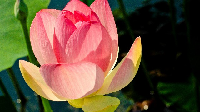 「玉亮说娱乐」深入人心的经典说说，句句经典个性，送给深夜孤独的自己