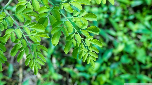 「青源讲娱乐」几句很个性的签名句子，句句都非常走心，第6句真的很伤感