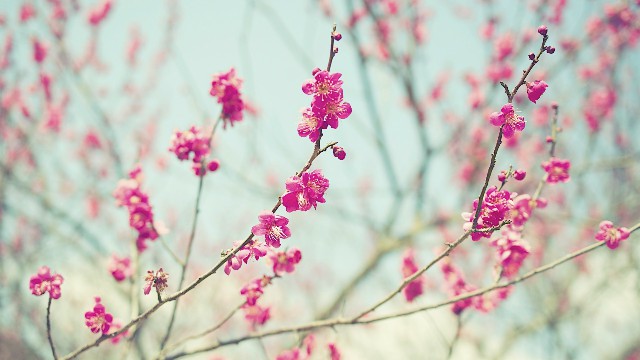 「青源讲娱乐」几句很个性的签名句子，句句都非常走心，第6句真的很伤感