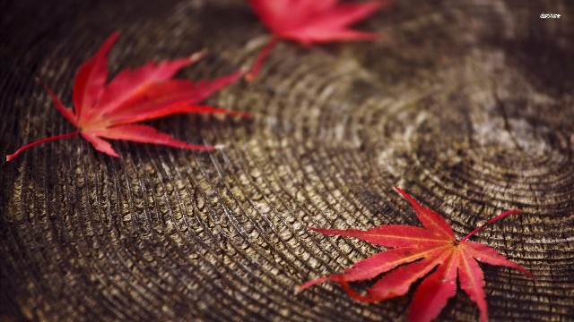 「青源讲娱乐」几句很个性的签名句子，句句都非常走心，第6句真的很伤感