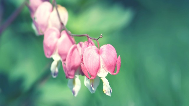 「青源讲娱乐」几句很个性的签名句子，句句都非常走心，第6句真的很伤感