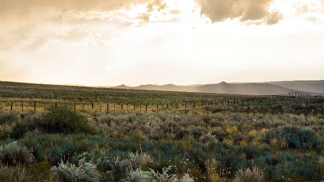 谈时尚的嵘■发自内心感慨的说说，句句硬道理，看完受益良多