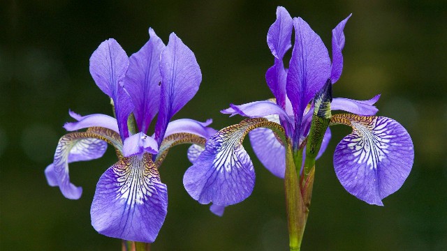 「谈时尚的嵘」人生感悟的句子，句句说心扉，送给寂寞的自己