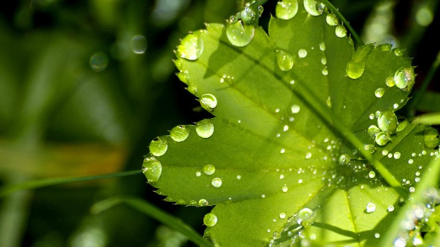 「谈时尚的嵘」人生感悟的句子，句句说心扉，送给寂寞的自己