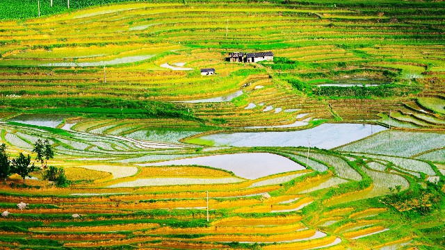 [谈时尚的嵘]深夜发朋友圈的伤感说说，简短洋气，送给爱而不得的你