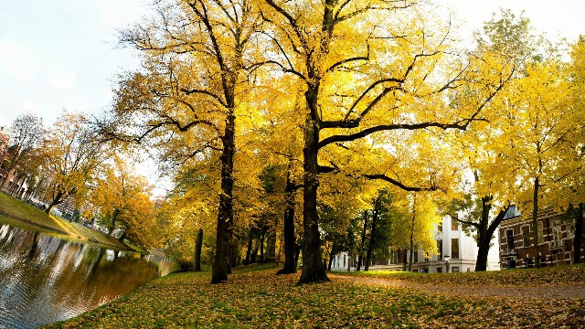 佳欢说时尚@说说伤感到心痛的短句子，句句内涵有深度，送给深夜无眠的你