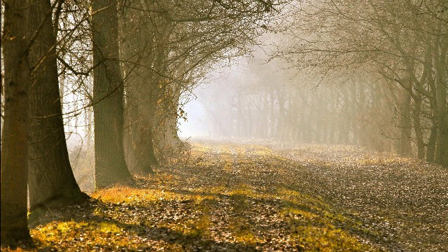 「佳欢说时尚」朋友圈努力励志的句子，句句有意境，送给深爱过的你