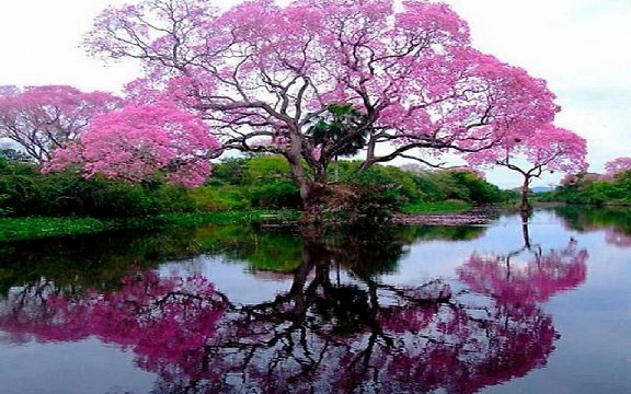 佳欢说时尚■2019简短正能量语录，句句大实话，哪一句让你感触最深