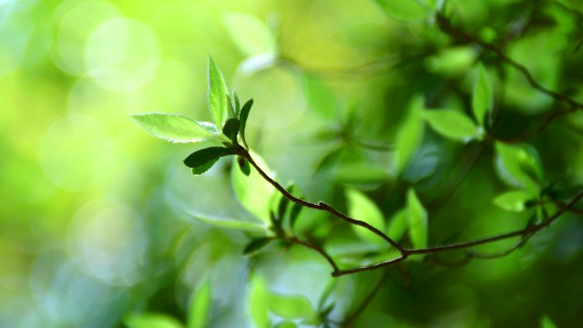 【雅中讲时尚】令人感触很深的句子，句句硬道理，总有一句诉说你的心情