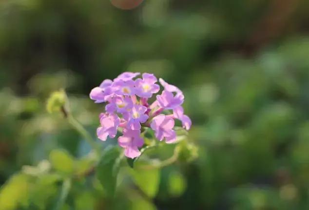 「阅读快乐者」2019退休年龄周期表，欢迎大家对号入座，补充不足