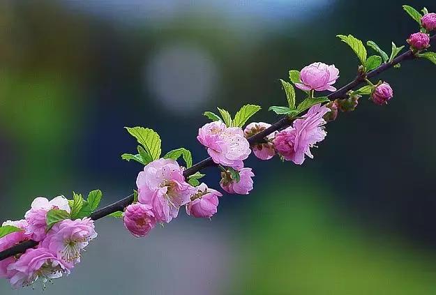 「阅读快乐者」2019退休年龄周期表，欢迎大家对号入座，补充不足