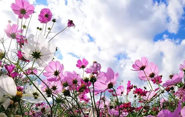 「阅读快乐者」2019退休年龄周期表，欢迎大家对号入座，补充不足