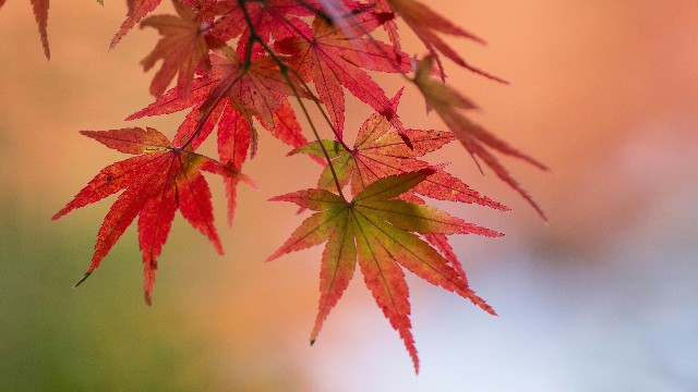 雨诗冰恋绝舞：2019最火的微信签名，简短有气质，送给最爱的人