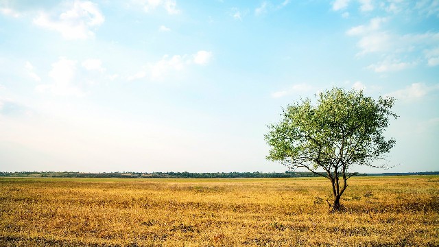 「雨诗冰恋绝舞」让人心静的心灵鸡汤短句，经典有个性，送给追爱路上的你