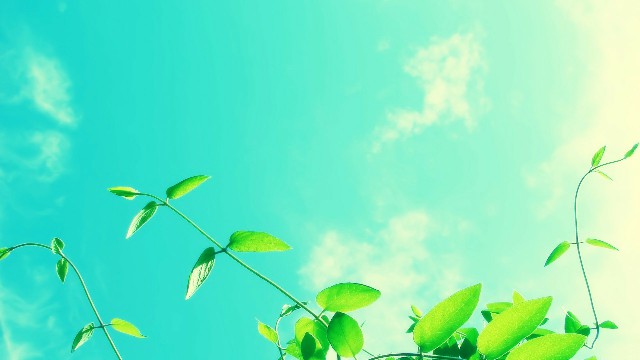 「雨诗冰恋绝舞」让人心静的心灵鸡汤短句，经典有个性，送给追爱路上的你