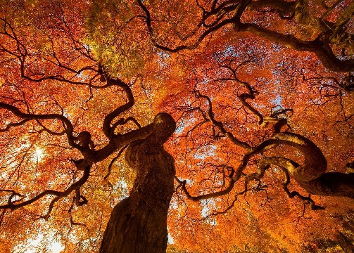 「雨诗冰恋绝舞」致追梦路上的自己一句话，句句有料，读了好几遍