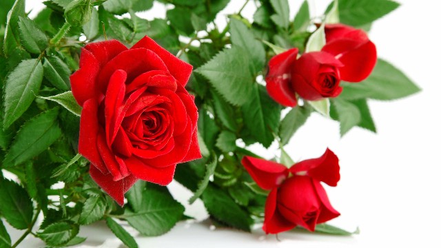 「雨诗冰恋绝舞」致追梦路上的自己一句话，句句有料，读了好几遍