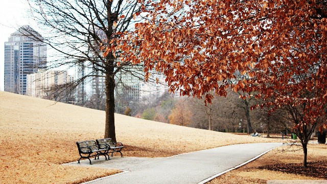 「雨诗冰恋绝舞」致追梦路上的自己一句话，句句有料，读了好几遍