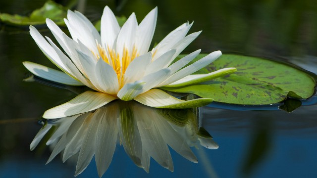 「雨诗冰恋绝舞」致追梦路上的自己一句话，句句有料，读了好几遍